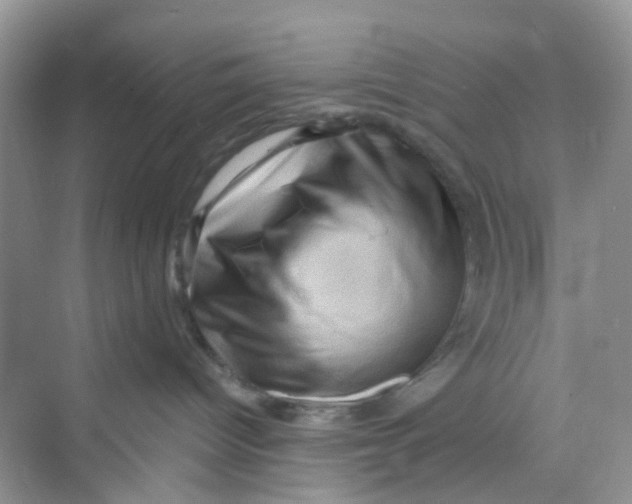 X0000069790096200606091754