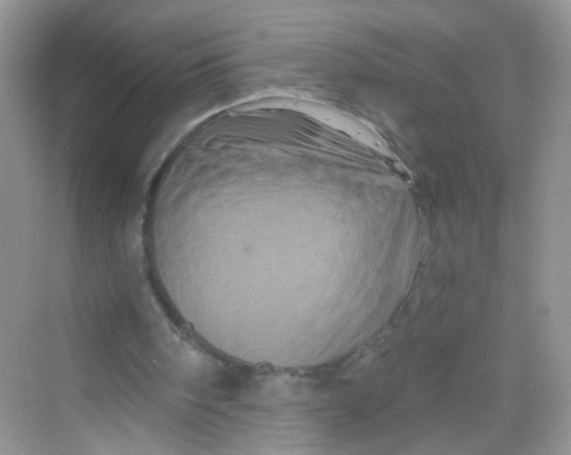 X0000069790098200606091753
