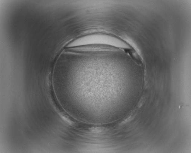 X0000069790105200606091753