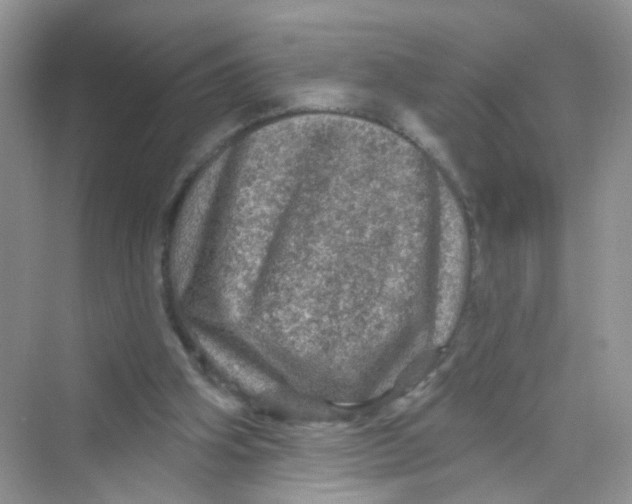 X0000069790106200606091753