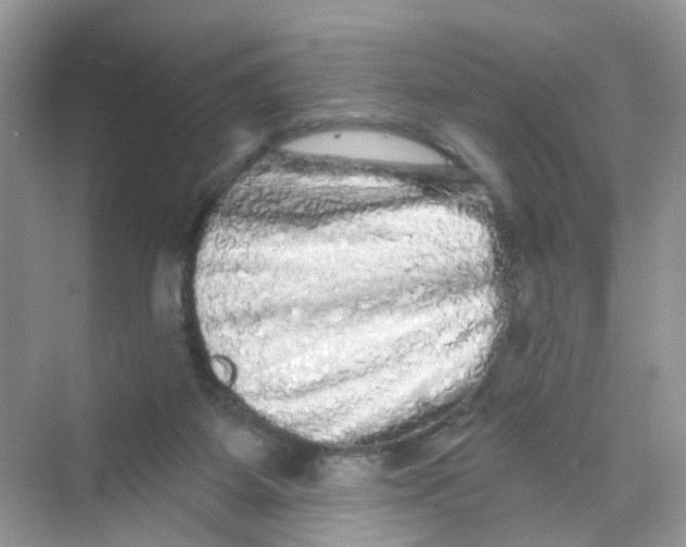 X0000069790115200606091753