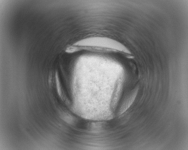 X0000069790134200606091753