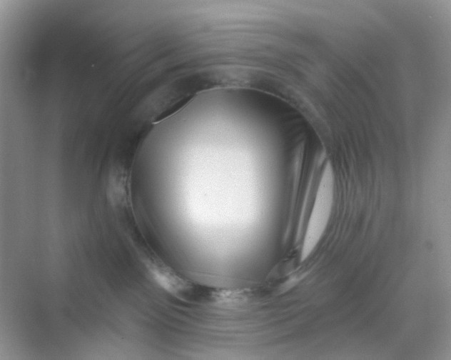 X0000069790141200606091752