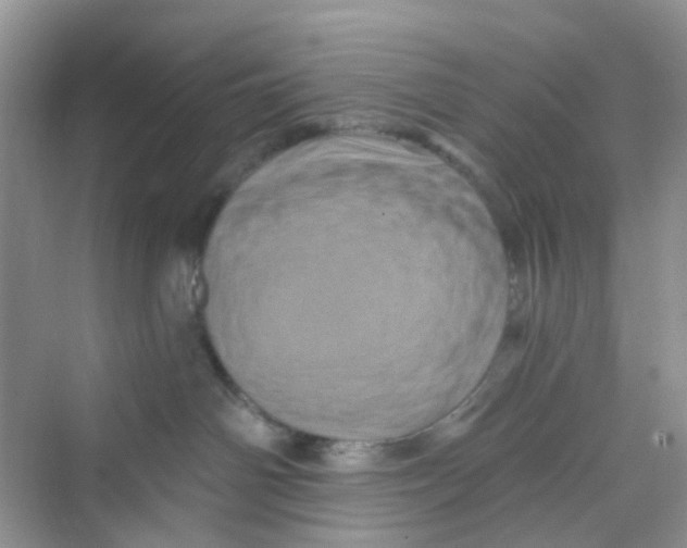 X0000069790142200606091752