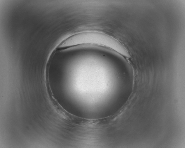 X0000069790148200606091752