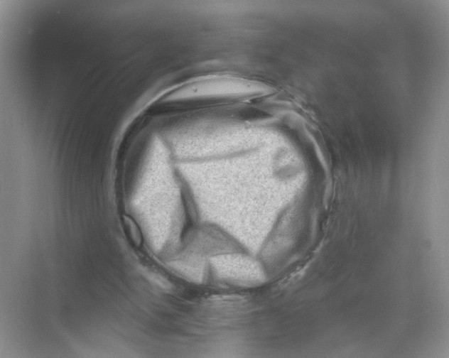 X0000069790150200606091752
