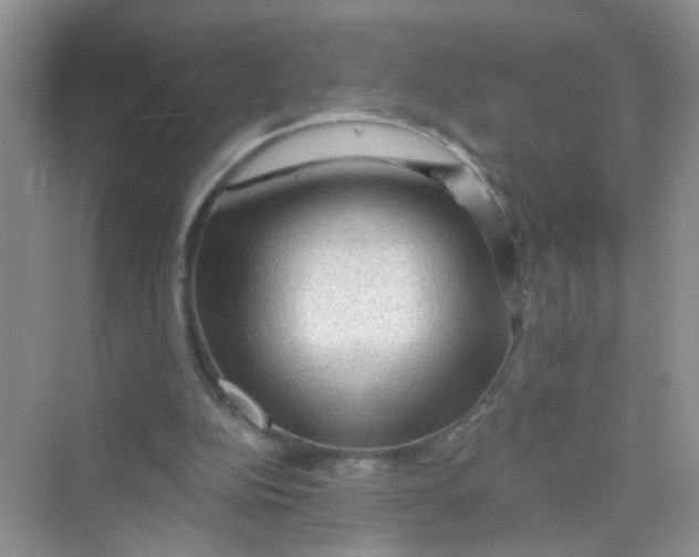 X0000069790152200606091752
