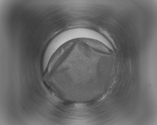 X0000069790154200606091752