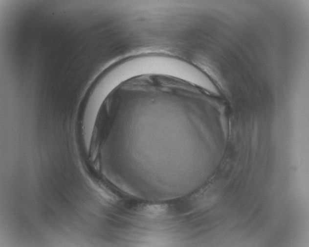 X0000069790156200606091752