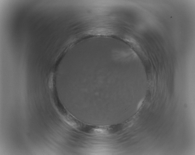 X0000069790167200606091752