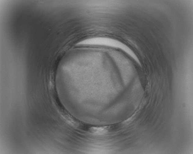 X0000069790170200606091752