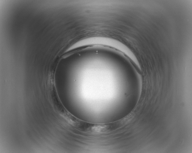 X0000069790172200606091752