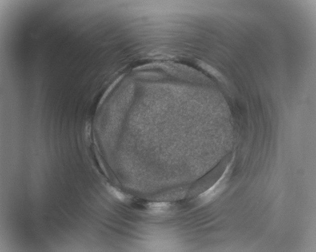 X0000069790192200606091752