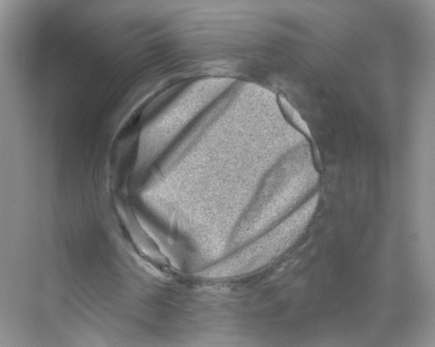X0000069790194200606091752