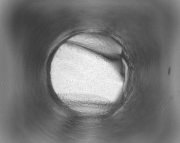X0000069790198200606091752