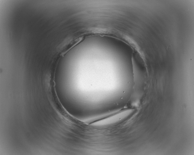 X0000069790201200606091751