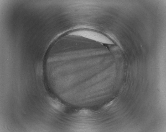 X0000069790204200606091751