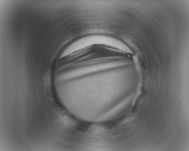 X0000069790207200606091751