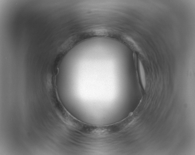 X0000069790213200606091751