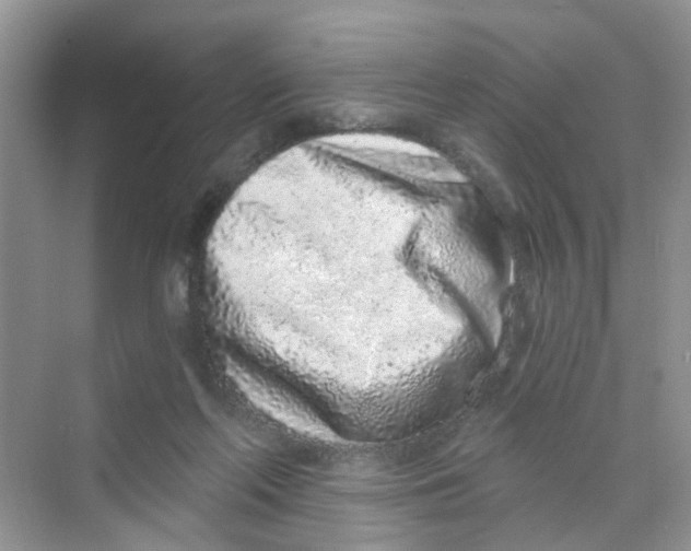 X0000069790214200606091751
