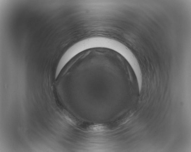 X0000069790219200606091751