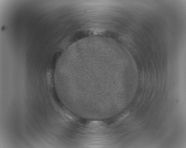 X0000069790222200606091751