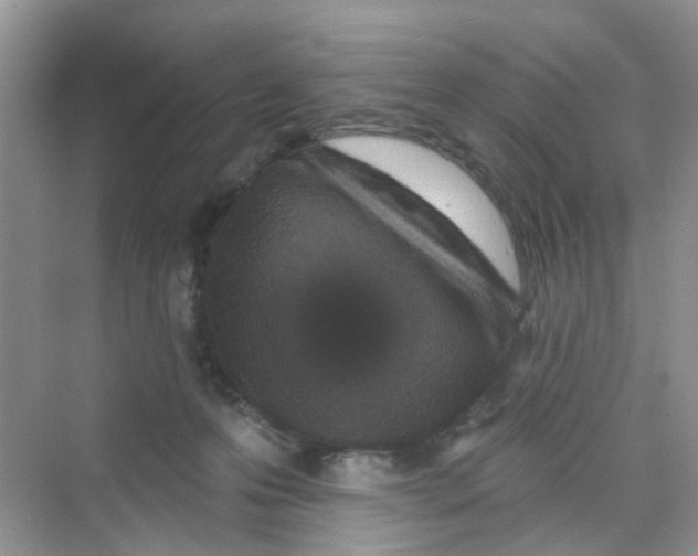X0000069790223200606091751