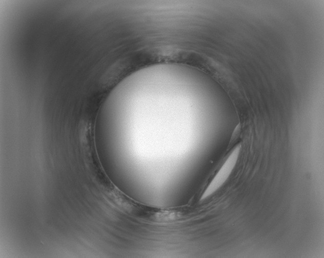 X0000069790225200606091751