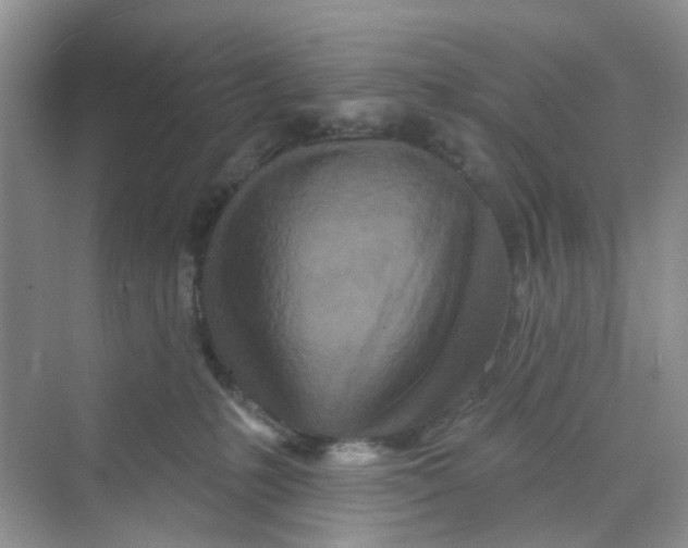 X0000069790231200606091751