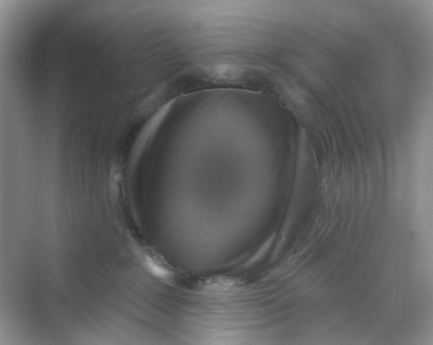 X0000069790235200606091751