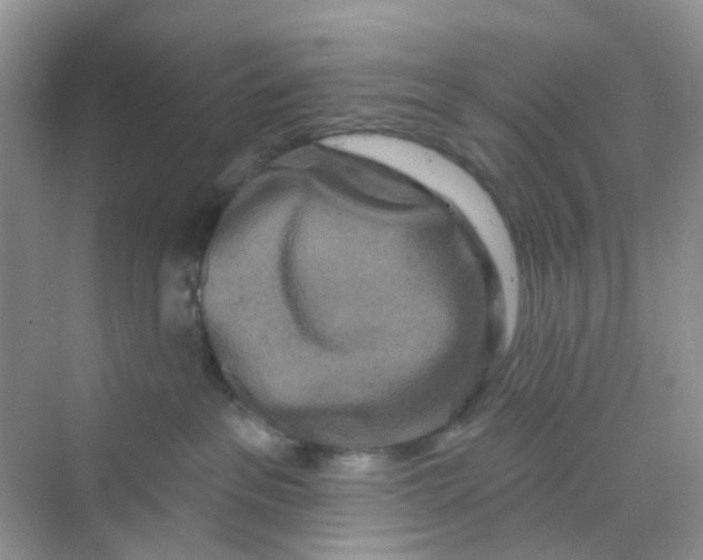 X0000069790237200606091751