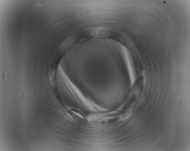 X0000069790239200606091751