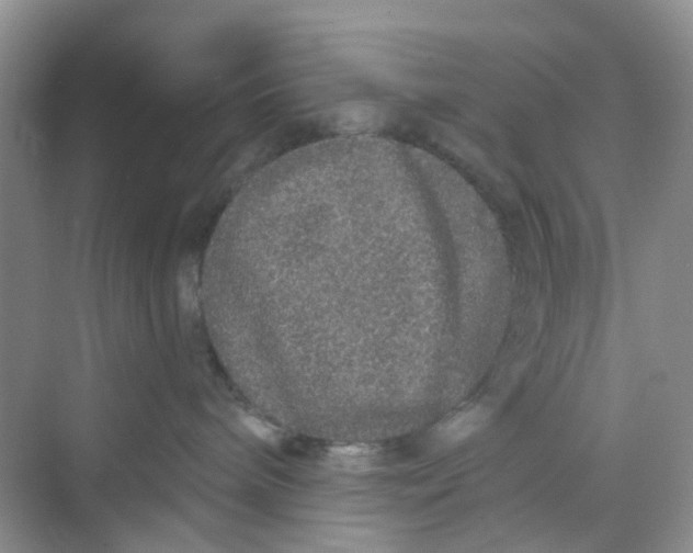 X0000069790240200606091751