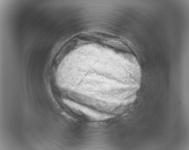 X0000069790241200606091750