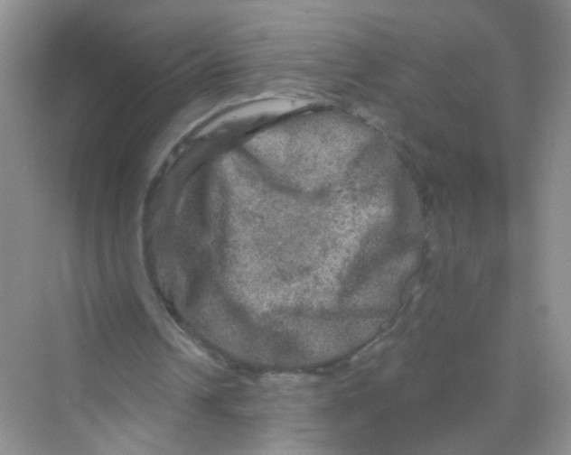 X0000069790242200606091750