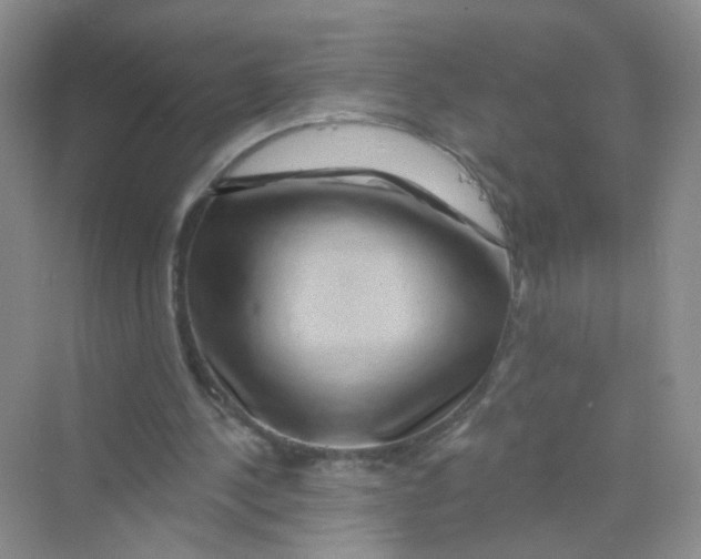 X0000069790244200606091750