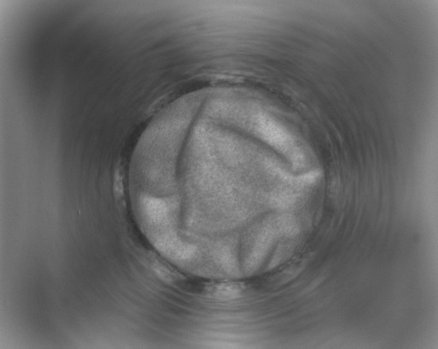 X0000069790282200606091751