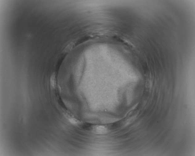 X0000069790287200606091751