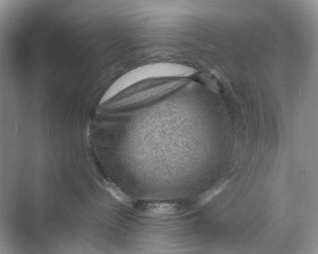 X0000069790288200606091751