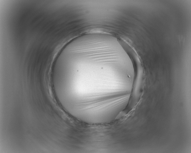 X0000069790289200606091750