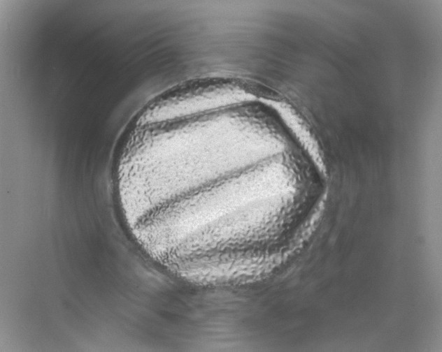 X0000069790290200606091750