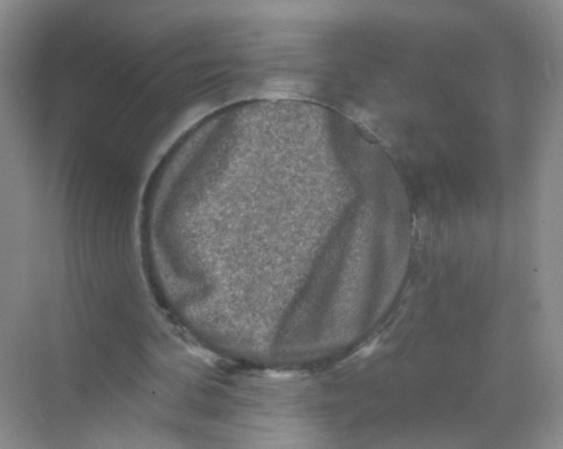 X0000069790292200606091750