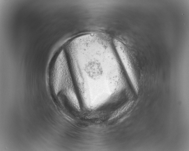 X0000069790294200606091750