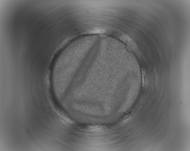 X0000069790300200606091750
