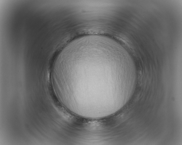 X0000069790310200606091750