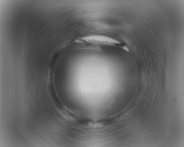 X0000069790311200606091750