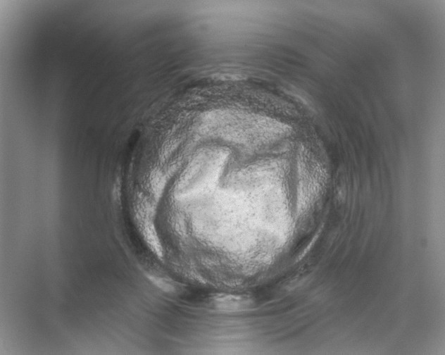 X0000069790315200606091750