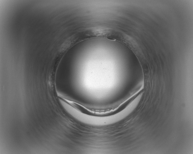 X0000069790317200606091750