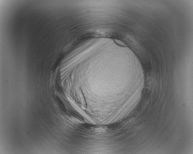 X0000069790318200606091750