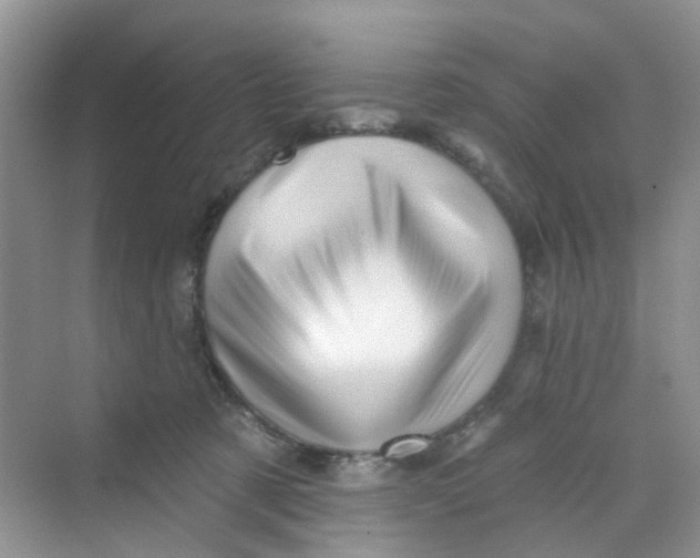 X0000069790321200606091749